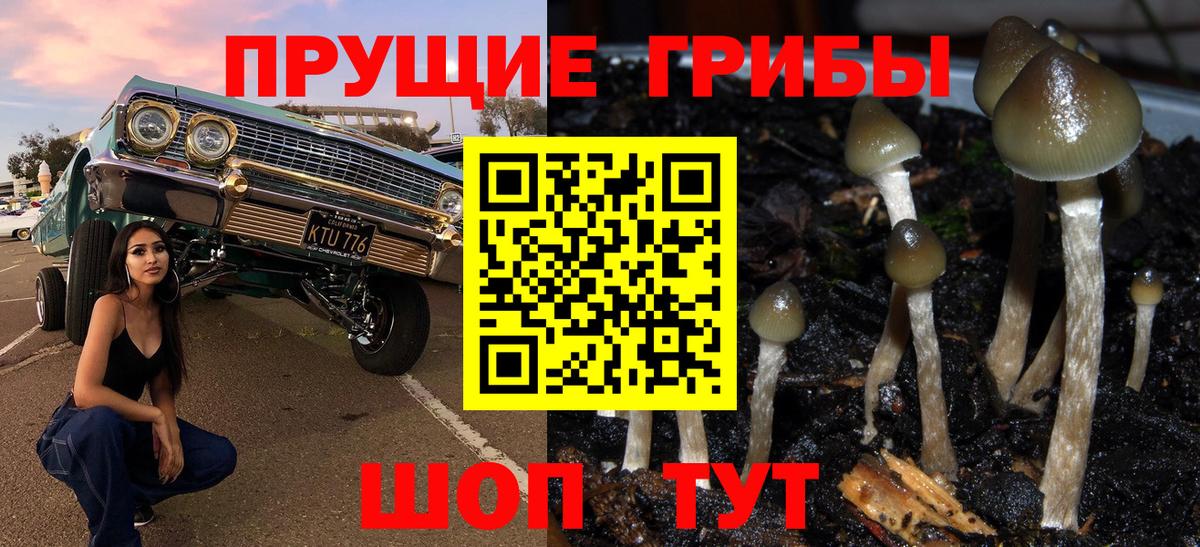 Моршанск  Галлюциногенные грибы мухоморы  Вход с VPN  Псилоцибиновые грибы Psilocybine cubensis 